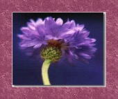 dysphagia after stroke image healthtips images